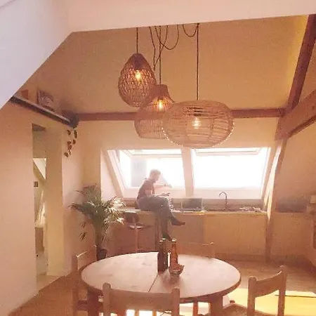 Daire Ruimtezicht Cosy With Sauna *