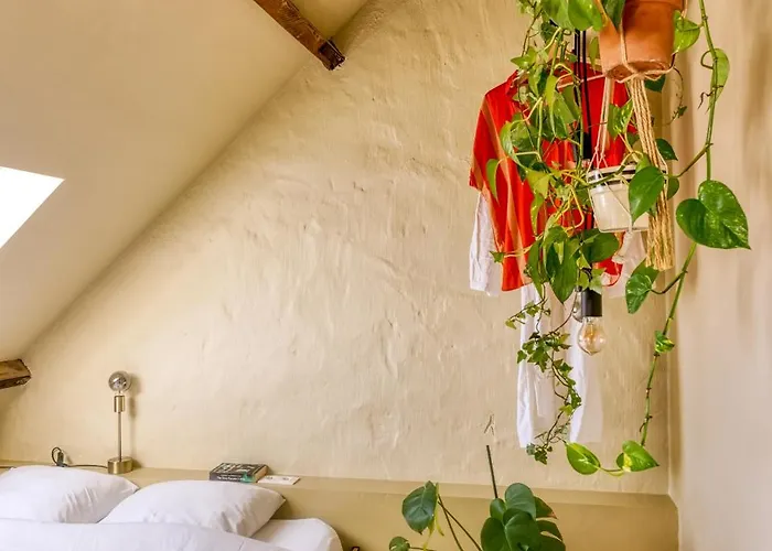 Ruimtezicht Cosy With Sauna *