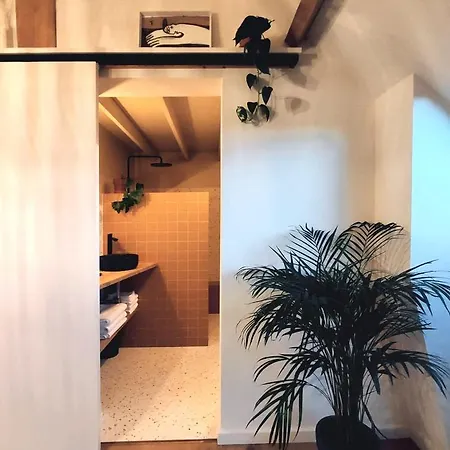 公寓 Ruimtezicht Cosy With Sauna *